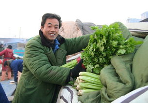 我國(guó)食用農(nóng)產(chǎn)品價(jià)格呈現(xiàn)小幅上漲態(tài)勢(shì)
