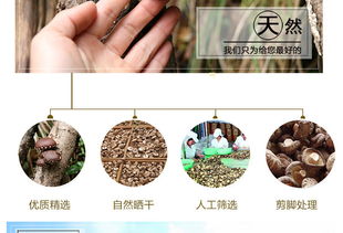 富農(nóng)園特級(jí)冬菇 福建山珍的優(yōu)質(zhì)之選