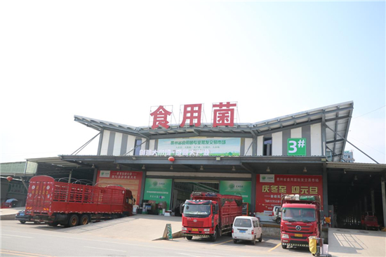 貴州省食用菌專業批發交易市場招商政策深度解讀